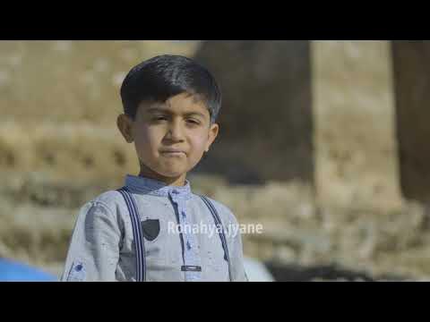 Natalya Bochkarevaning yalangoch mushuki