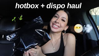 Dispo Haul | chit chat + smoke w me