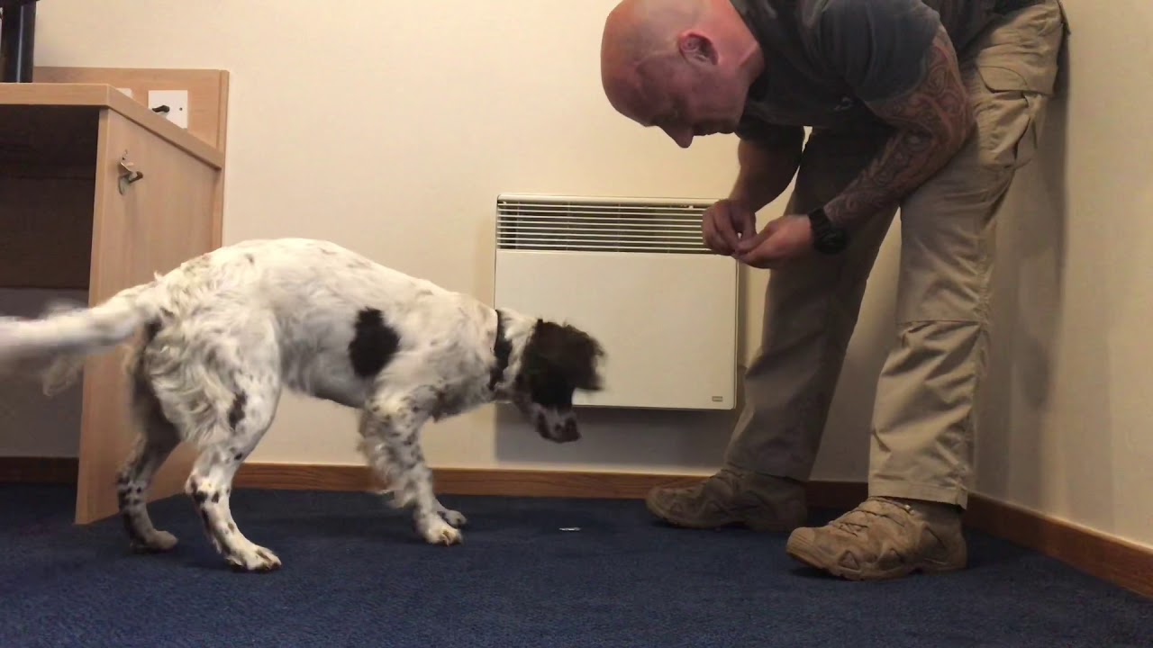 Teaching a freeze indication - scent detection