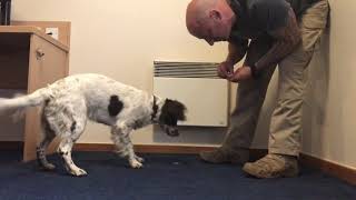 Teaching a freeze indication  scent detection