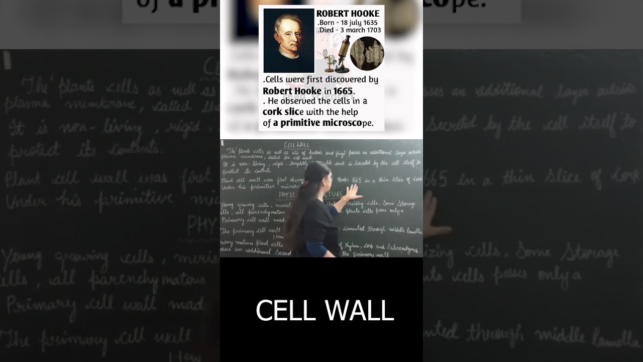 CELL WALL One Shot | Class 9 Biology | NCERT | Fundamental Unit of Life | NEET| PART-2 