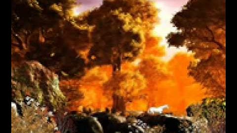 تلاوة للشيخ حمد الدغريري من سورة النمل.