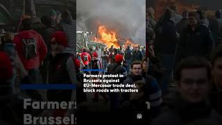 Farmers protest in Brussels against EU-Mercosur trade deal, block roads with tractors