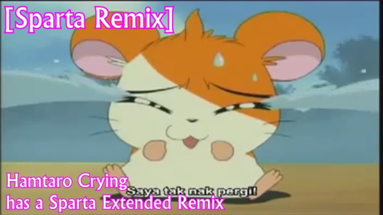 Hamtaro crying