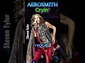 🎤AEROSMITH: Cryin' *ISOLATED VOCAL*🔥