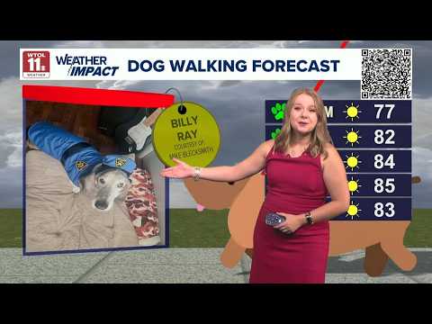 Dog walking forecast: Great green paw weather for the dogs and people, too | Good Day on WTOL 11