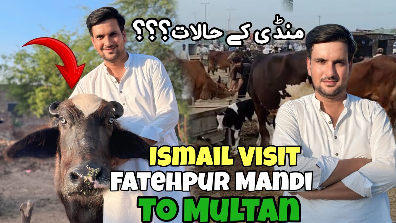 Ismail Jutt Visit Fatehpur Mandi To Multan - YouTube