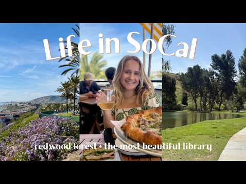 California Diaries: road trip to redwoods, a dream library + my job search update