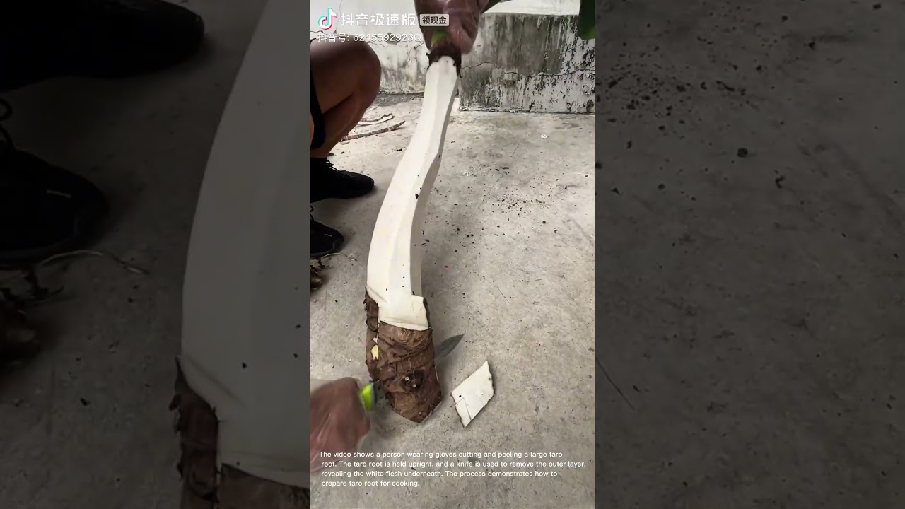 Preparing Taro Root: Cutting and Peeling a Giant Vegetable