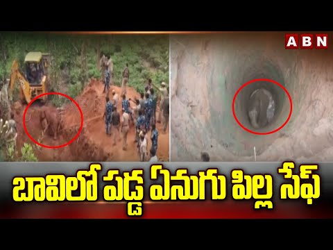 బావిలో పడ్డ ఏనుగు పిల్ల సేఫ్ | Baby Elephant Fell In Well | Tamil Nadu | ABN Telugu - ABNTELUGUTV