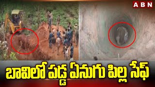 బావిలో పడ్డ ఏనుగు పిల్ల సేఫ్ | Baby Elephant Fell In Well | Tamil Nadu | ABN Telugu