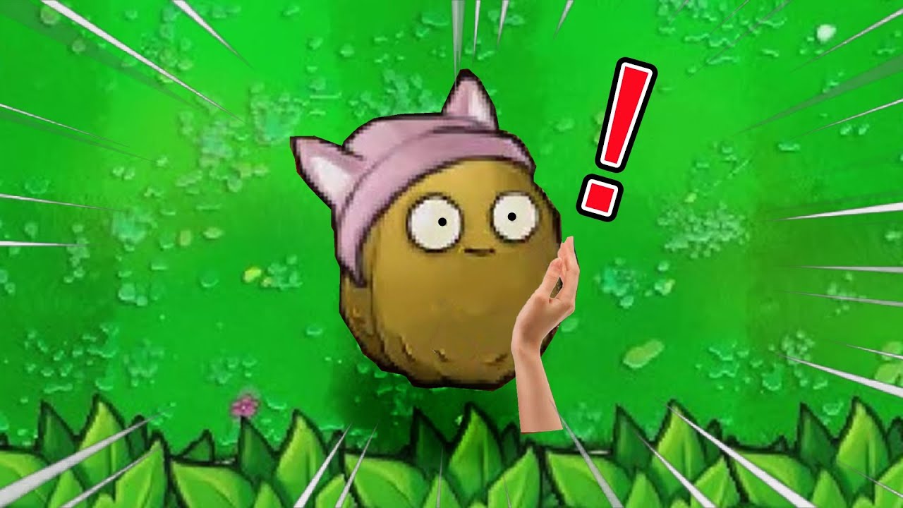 当坚果墙试图魅惑僵尸【我真是小熊】