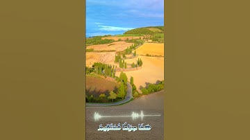 سورة مريم و..كا.نك تسمعها لأ.و.؛ل مر.ة💕؛.💞🌸🌷؛. 💘، 💓بصوت الشيخ حمزة مد.بو.ح 🏵️💮🌻💘💛..❣️💚