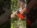 This 12-inch portable chainsaw #viralvideo #woodworking #decoration #tools #shorts