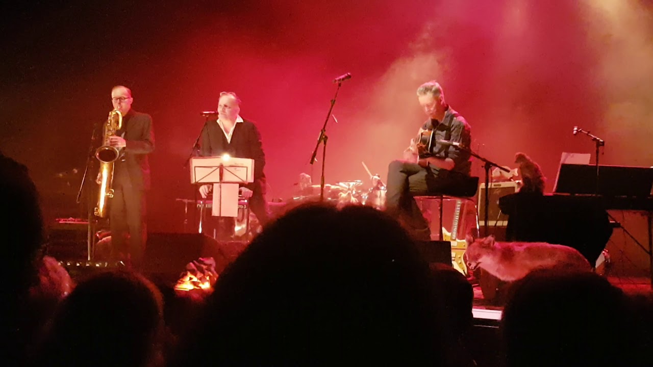 Bad Liver Kröp på finska över bron (Walking Spanish) Tom Waits in