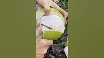 Kỹ năng gọt thật nhanh trái bưởi chín cây chất lượng.  #lùnvlog  #fruit #shorts #mientay