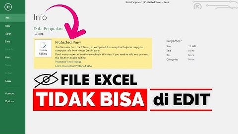 Penyebab File Excel tidak bisa di EDIT - Disable Peringatan Protected View File Hasil Download