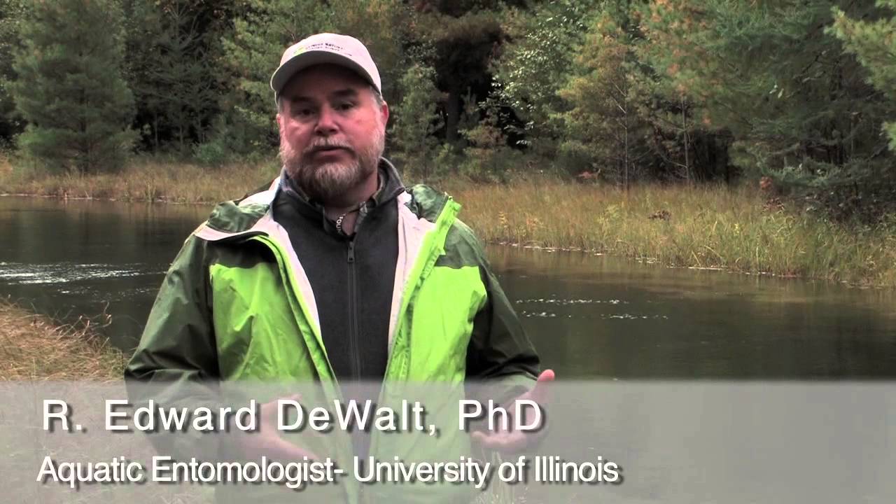 insects picture Scientists and Citizens (Audio Described)