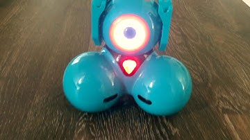 5 year old kid coding Dash Robot