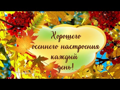 Для Тебя Приветик! Очень Красивая Музыка с Прекрасными Пожеланиями! Тебе для Настроения!