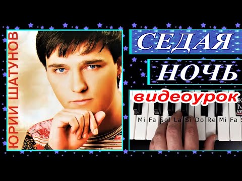 СЕДАЯ НОЧЬ~(Юрий Шатунов~Л.Май)~УРОК синтезатор~текст аккорды Am📥 скачать демо стиль для KORG Pa🎹
