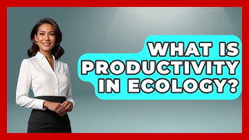 What Is Productivity In Ecology? - Ecosystem Essentials