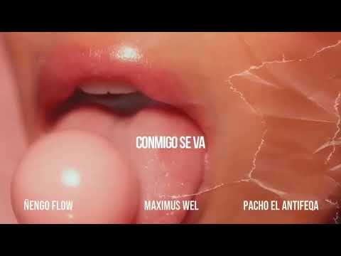Conmigo Se Va Ñengo Flow Ft Pacho El Antifeka Y Maximus Well