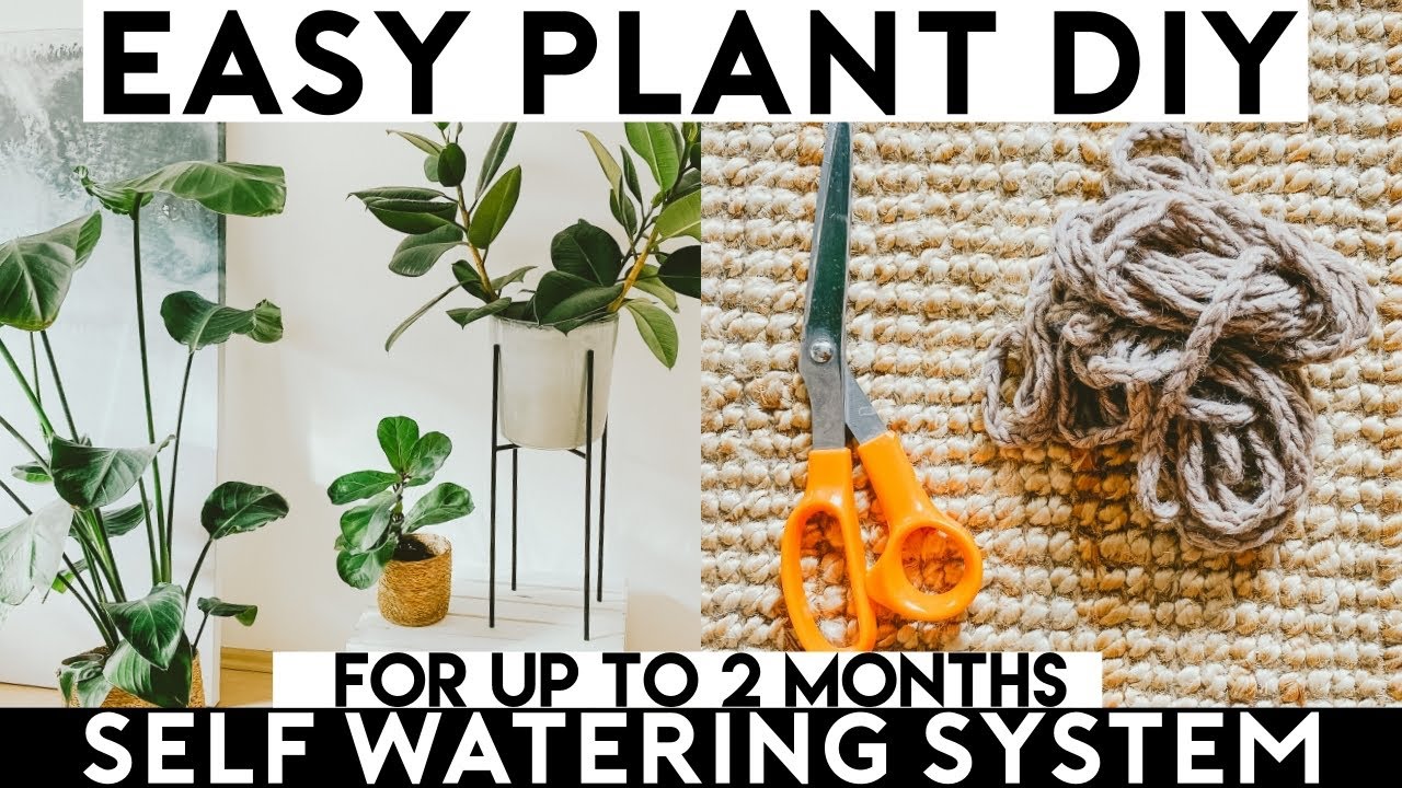 Plant Self-Watering System DIY  Surviving over 2 Months! 