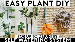 Plant SelfWatering System DIY | Surviving over 2 Months!