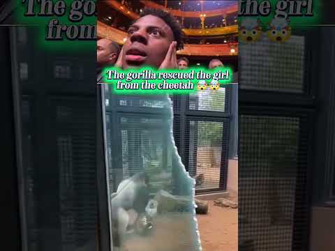 The Gorilla Rescue The Girl 🤯🤯 #motivation #shorts #respect