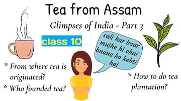 tea from assam class 10 / glimpses of india 3 / tea from assam class 10 animation in hindi