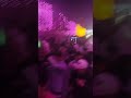 صلصة العجيب من فرحه دسكو في مكاوى