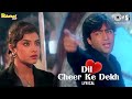 Dil cheer ke dekh tera hi naam hoga  lyrical  rang  divya bharti  kumar sanu  90s hits song