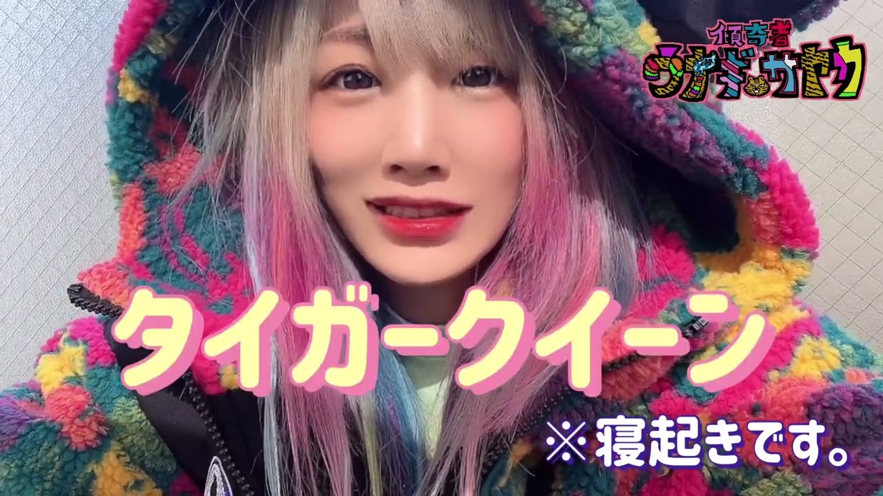 タイガークイーン査定する。2月22日にゃんにゃんにゃんストロング