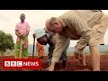 Zimbabwe to return land seized from foreign farmers - BBC News
