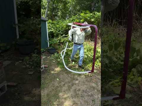 IMG 4056m18 machete video no 2