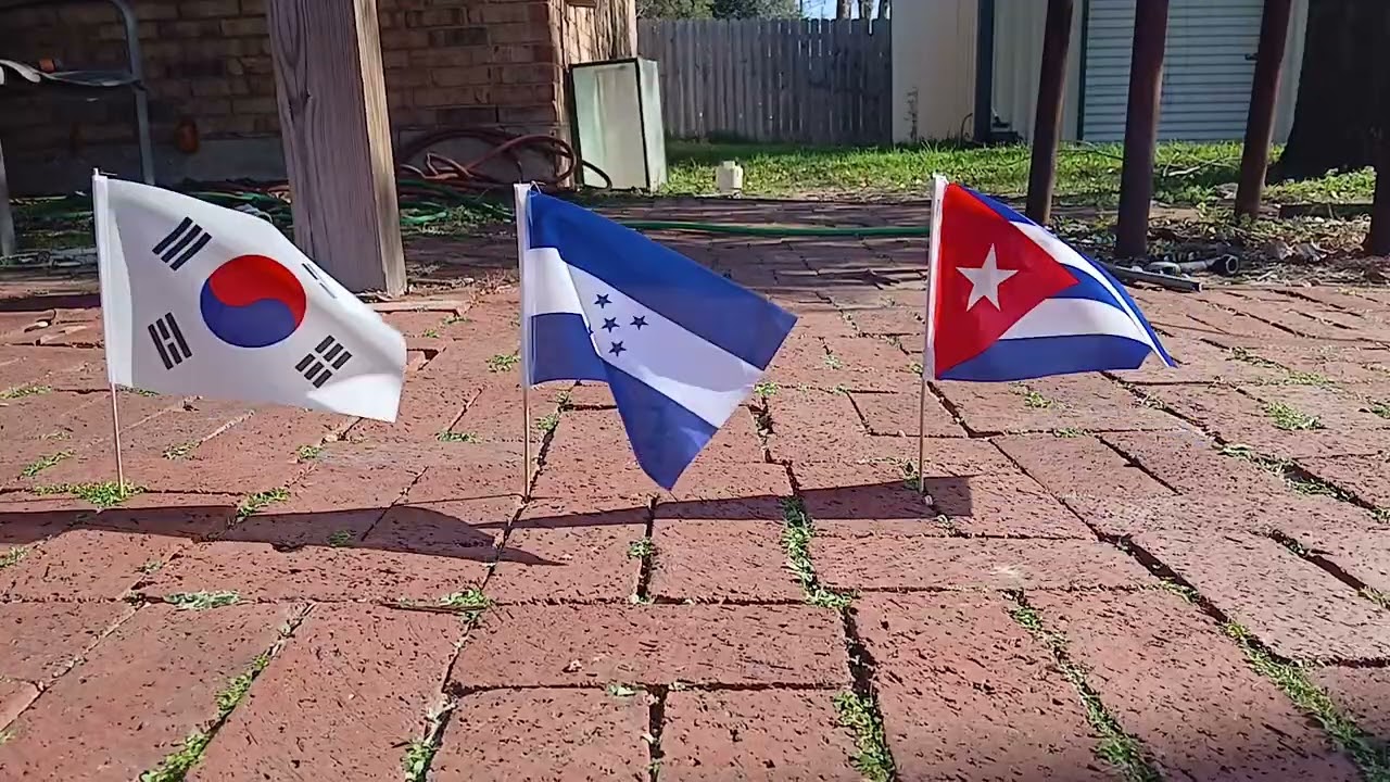 South Korean, Honduran, and Cuban flags waving
