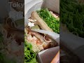東京 花見 vlog|目黒川・新宿御苑の桜&リッツカールトン・カフェ散歩 春の東京ライフ 4K