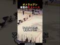 ポメラニアンの本気が見えた氷上レース#犬 #ドッグレース #可愛い犬
