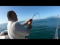 Ángel León captura el pez de su sueños.| FULL HD | Pesca al vivo en el mágico Estrecho.