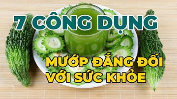 Bất ngờ 7 công dụng của mướp đắng trong ngày hè nóng bức - Kênh Hướng Dẫn