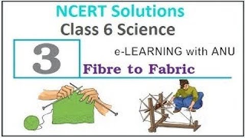 FIBRE TO FABRIC|CH-3|SCIENCE|CLASS6|extra question| e-LEARNING with ANU