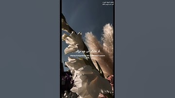 القرآن الكريم مترجم للغة الألمانية بصوت المقرئ فضيلة الشيخ د.أحمد عبد الرحمن الخجا الدمشقي الشافعي 🌸