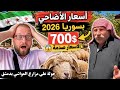 A Tour Of The Sacrifice Market In Syria 2026 Shocking Sheep Prices Has The Sacrifice Become 