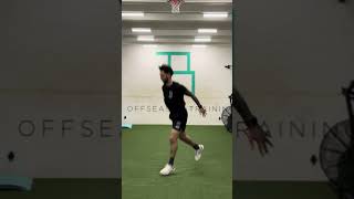 Famous REPEATED ALTERNATING SPLIT SQUAT JUMPS Net Worth