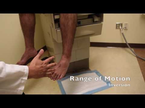 Sports Medicine (orthopedic)