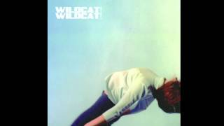 Wildcat! Wildcat! - Garden Grays chords