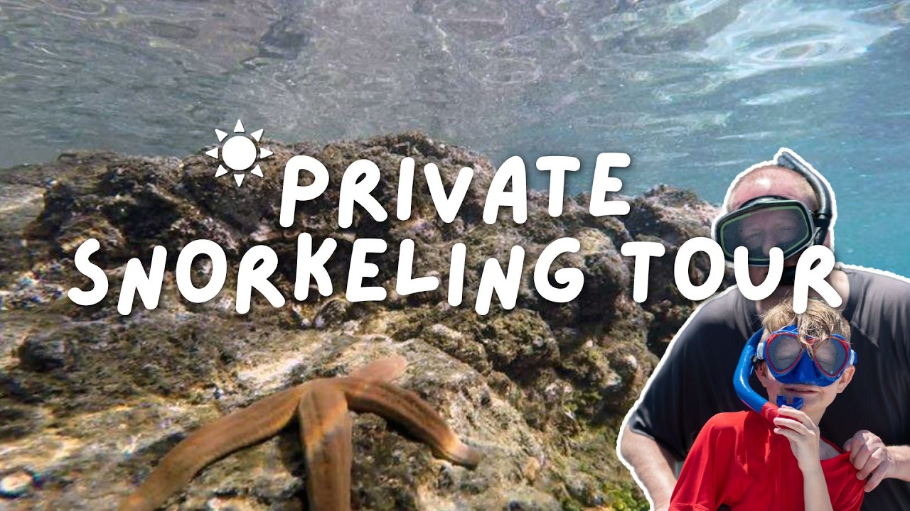 ⁣🤿✨Private Snorkeling Tour in Jaco, Costa Rica | Playa Fantasia