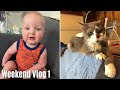 Weekend Vlog 1 | We Introduce the Two Newest Members of Our Family