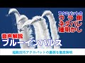 【音声解説】ブルーインパルス アクロバット飛行の裏側・ネタバレ・種明かし JASDF Blue Impulse